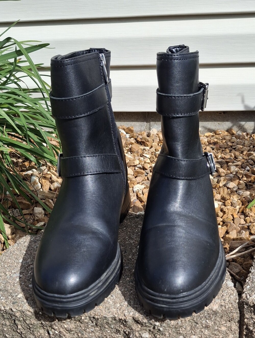 Ann Taylor Black Leather Moto Ankle Boots